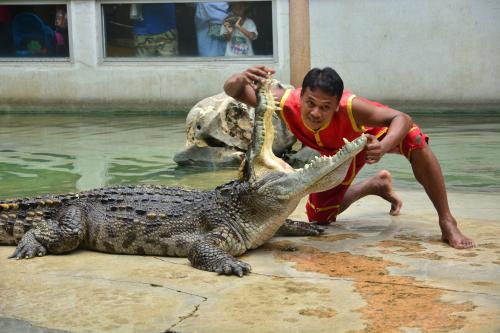ฟาร์มจระเข้และสวนสัตว์สมุทรปราการ Samut Prakan Crocodile Farm and Zoo