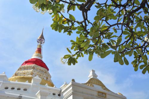 วัดทรงธรรมวรวิหาร Wat Song Tham Worawiharn 哇宋塔寺